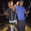 sfbowfishing